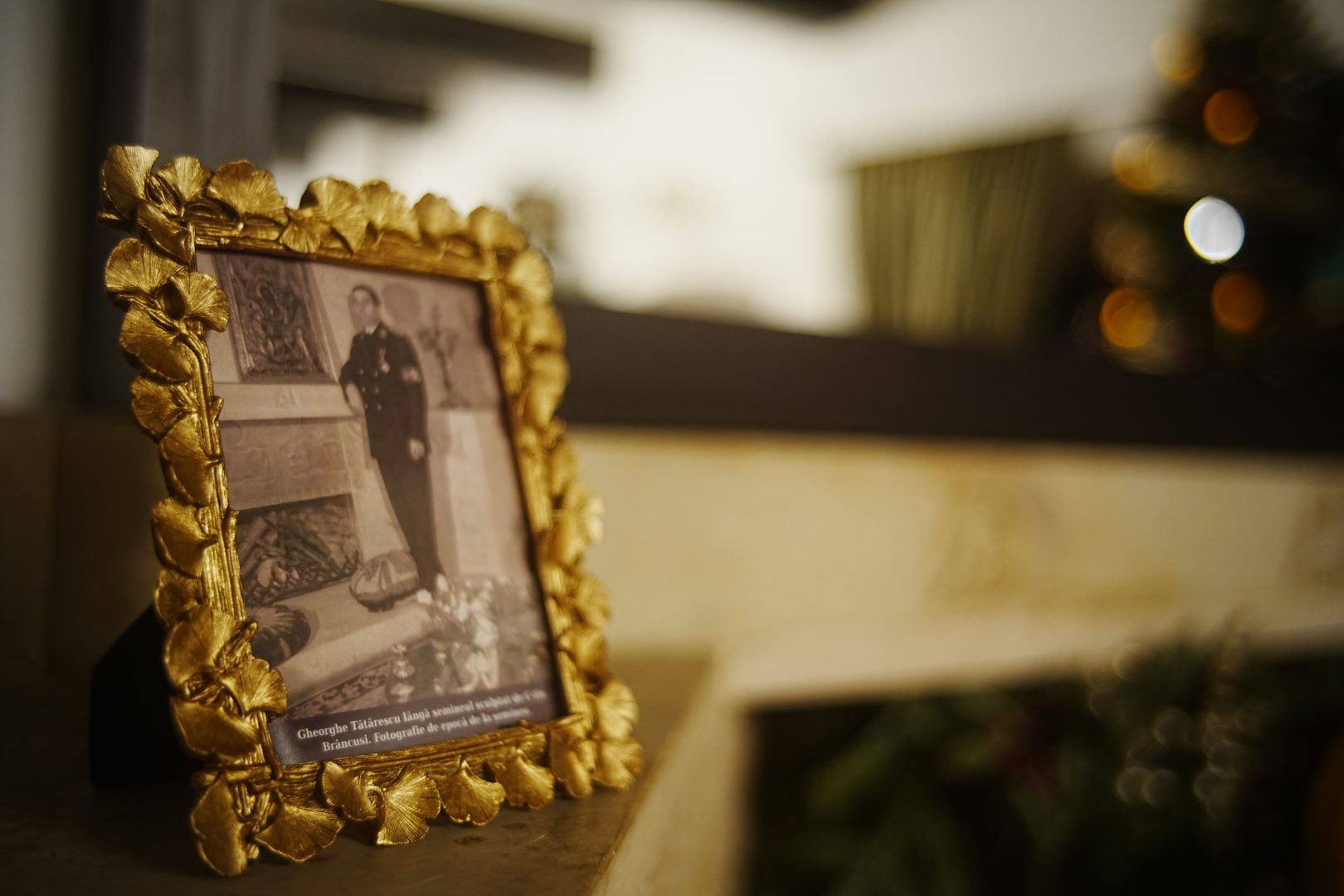 Casa Gheorghe Tătărescu: O vilă interbelică-martor al puterii și memoriei politice în București